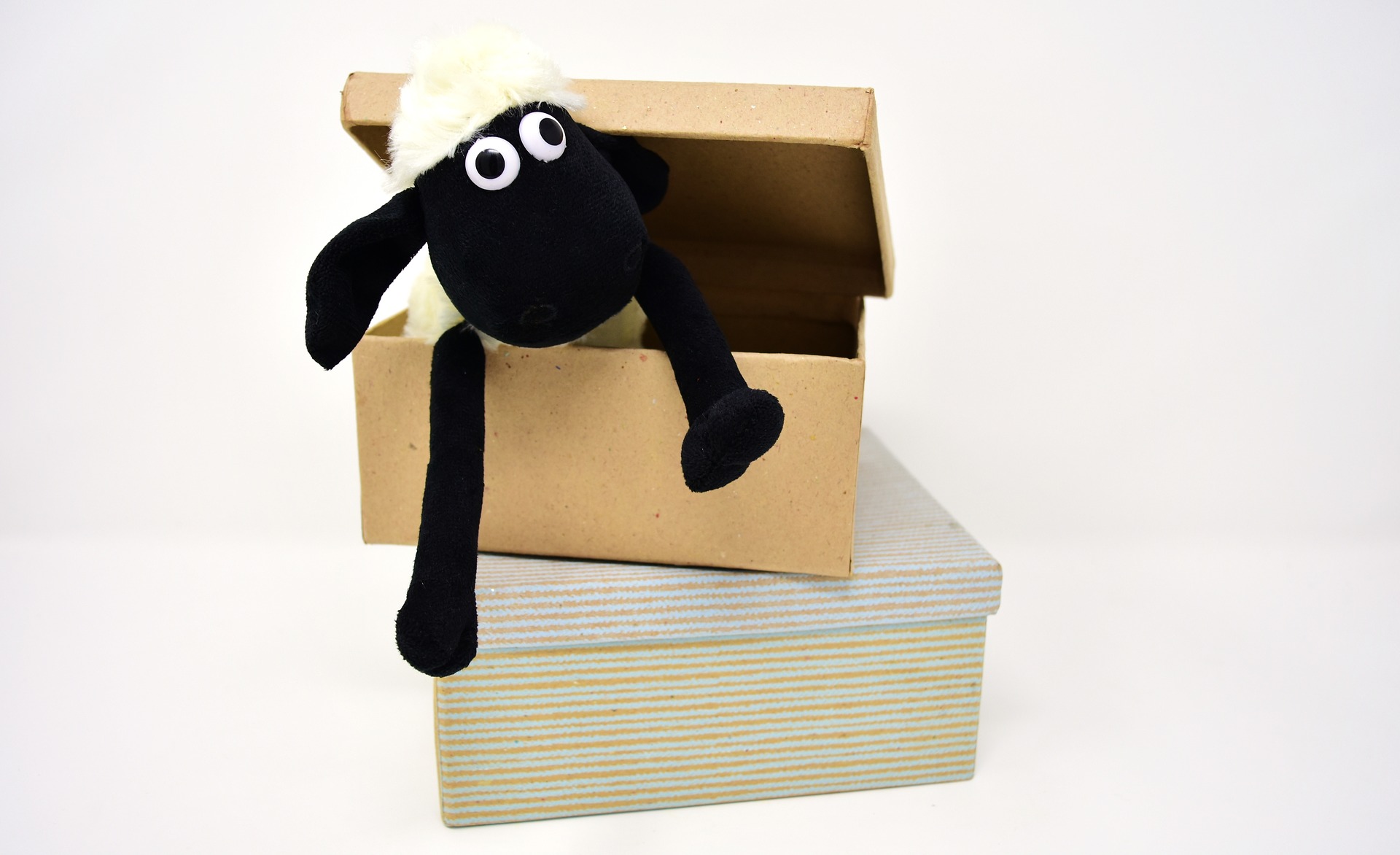 Box sheep place library photo mouse. Овечка из картонной коробки. Барашек Шон коробочка. Овечка из картонной коробки для Картонии. Картонная Овечка Birn brsathers London e.c..