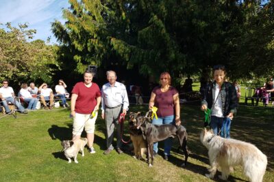 Family Fun Day & Dog Show in aid of Positive Steps Charity