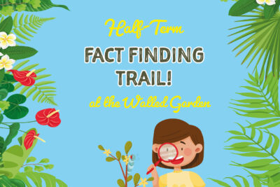 Fact Finding Trail
