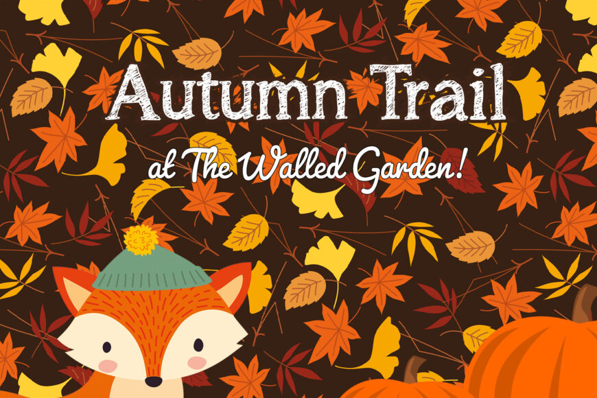 Autumn Trail at The Walled Garden