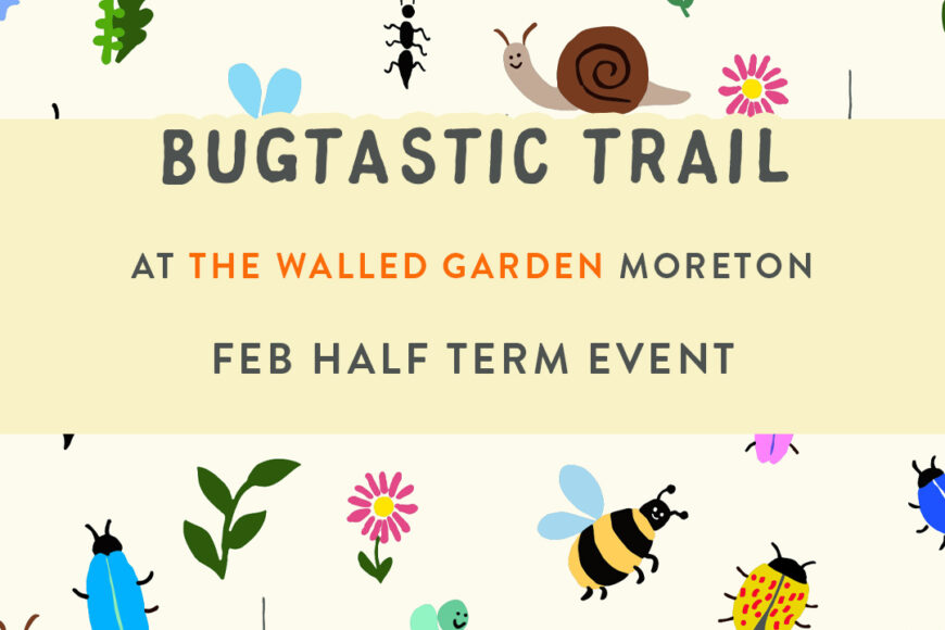 Bugtastic Half Term Trail!