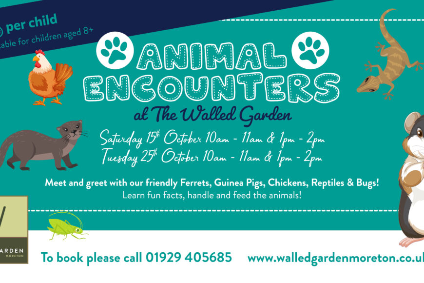 Animal Encounters at The Walled Garden