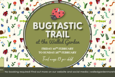 Bug Trail – February