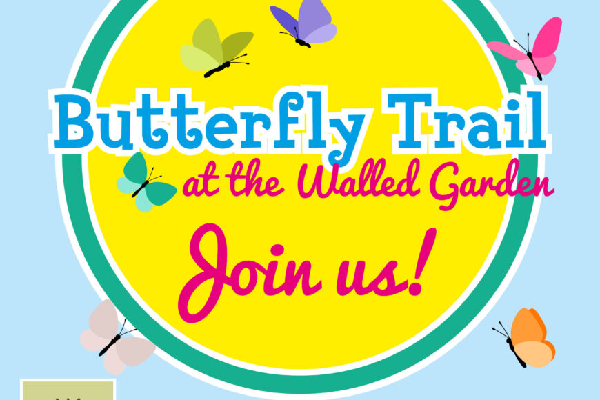 Butterfly Trail – May Half Term