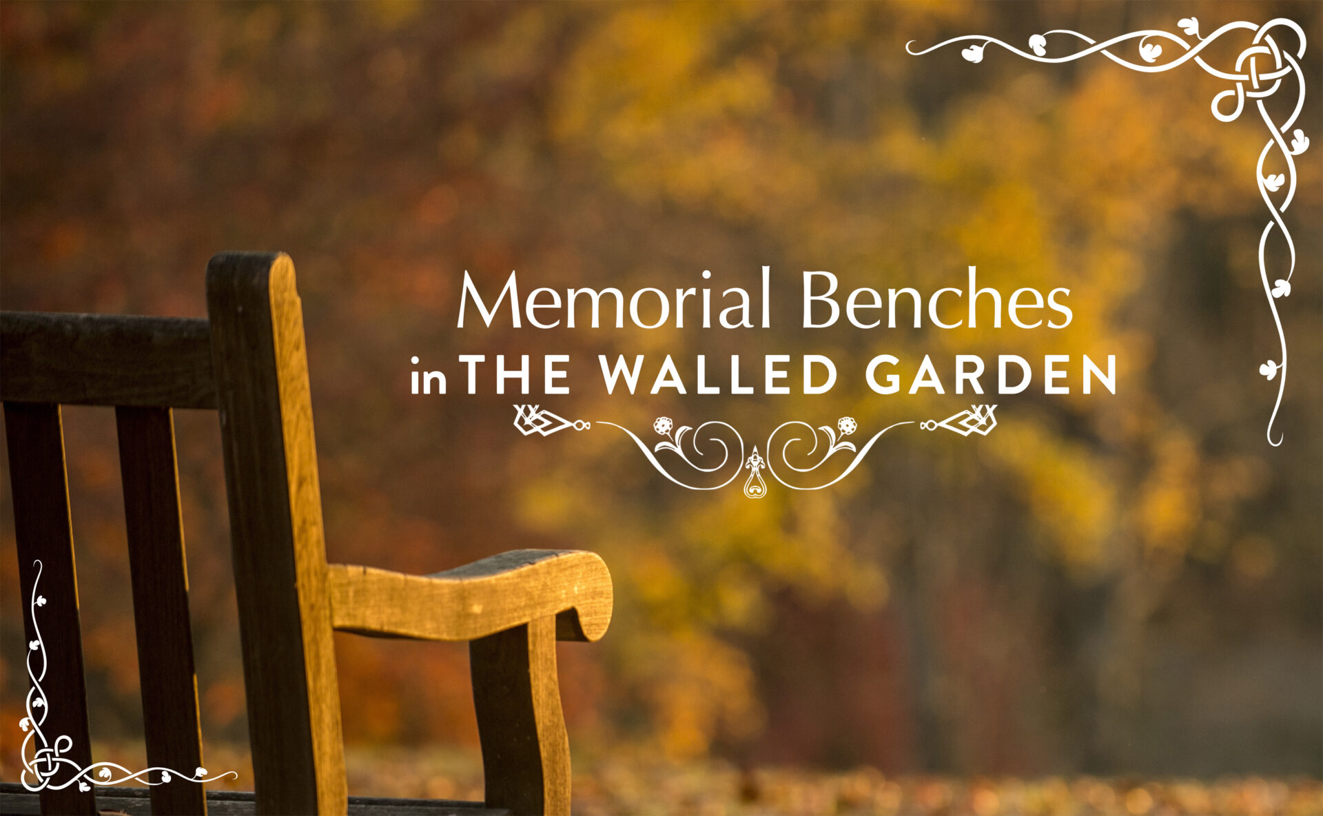 Memorial Benches in The Walled Garden