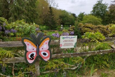 Butterfly Trail 2024 – Opens May Half Term