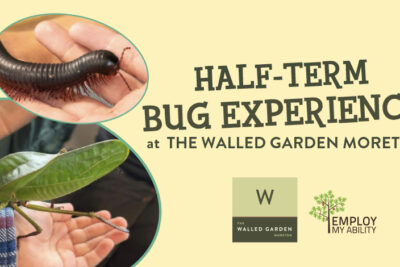 Bug Experience – May Half Term