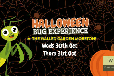 Halloween Bug Experience at The Walled Garden 2024