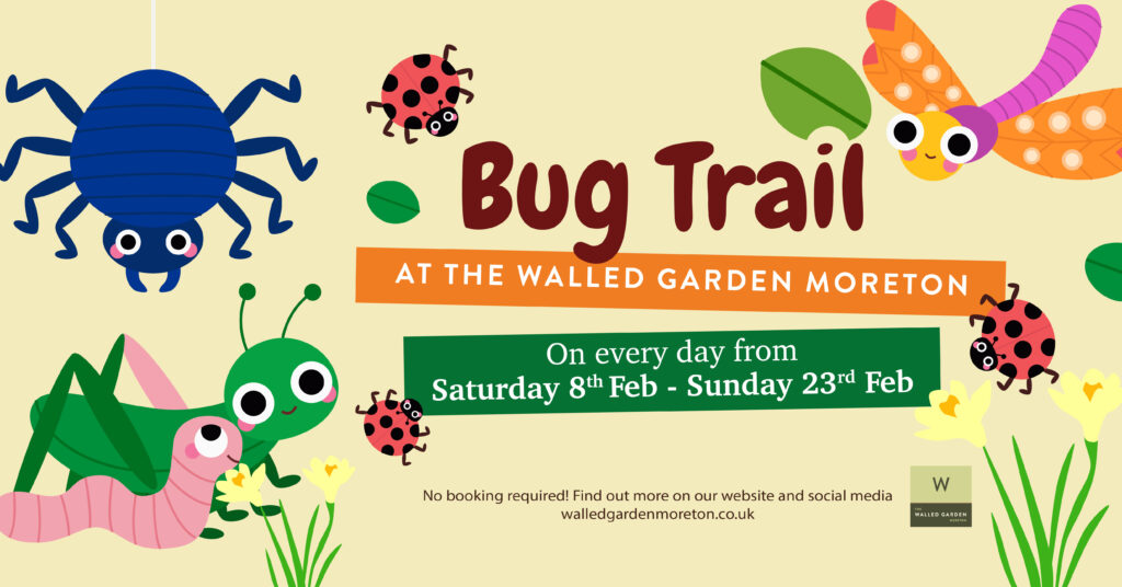 Bug Trail at The Walled Garden February HalfTerm Walled Garden Moreton