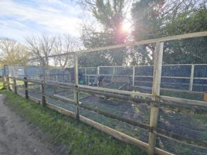 a chicken coop