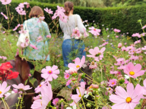 pink flowers, two people are seen in the background