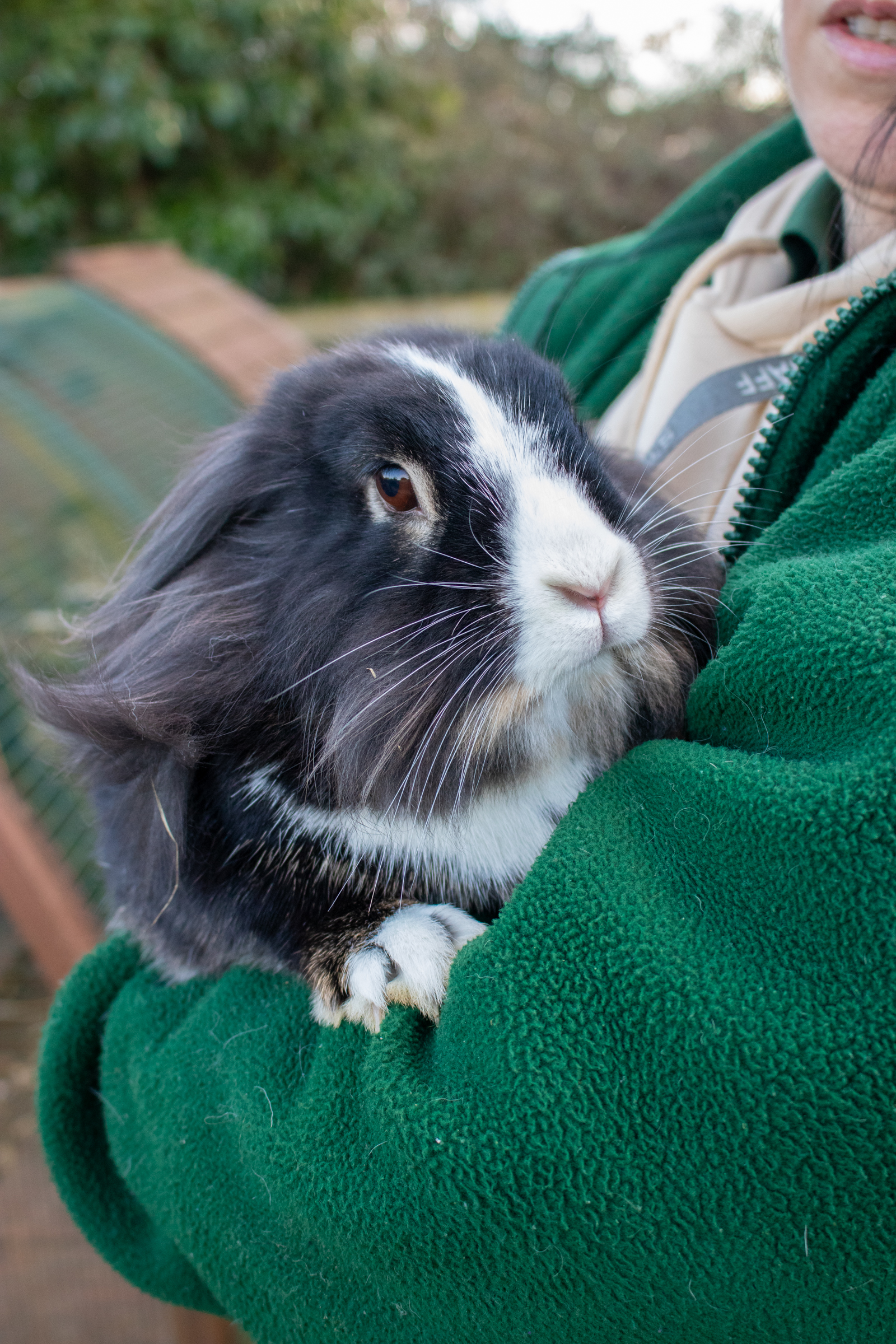 Animal Acre