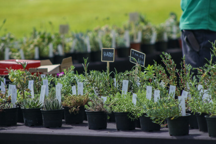 Plant Fair Spotlight! – Who’s joining us?