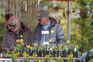 two people are seen browsing plants at a stall