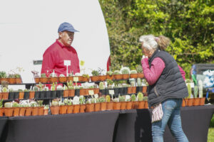 a woman looking at plants for sale