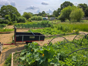 a sprawling garden of vegetable planters and small garden trailer are shown