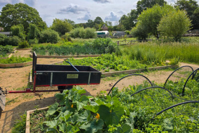 Summer approaches and we’re JUNE the Warm Weather! (Blog)