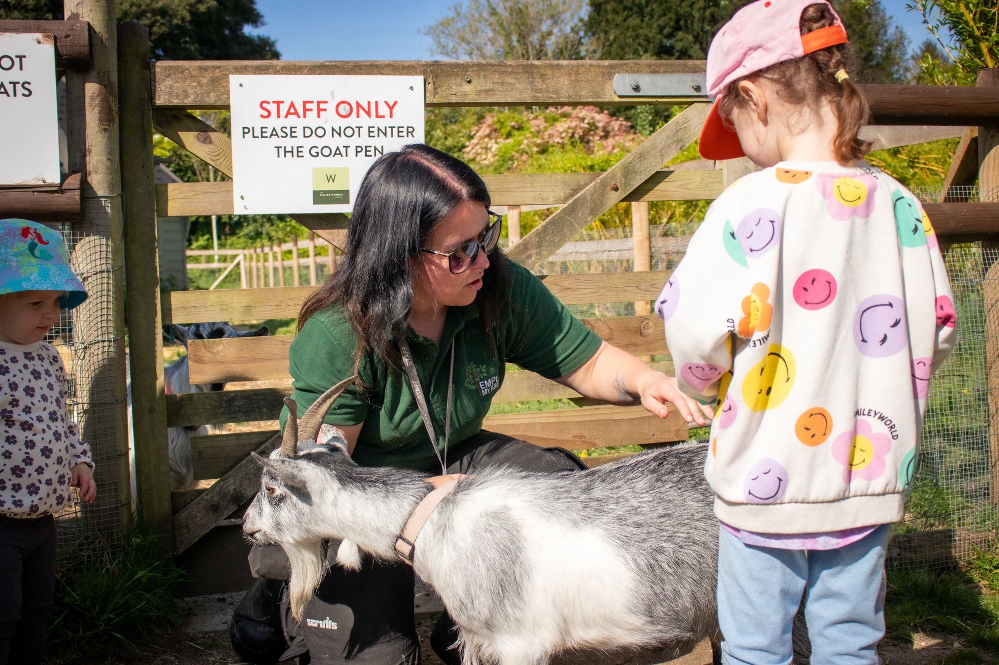 a walled garden staff member is showing handling a pygmy goat while two small children stand near and watch
