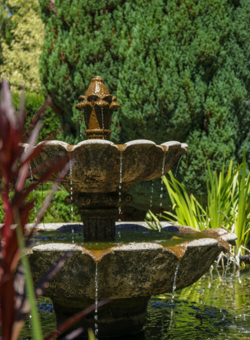 rose garden walled garden 2025 a close up of a stone water fountain