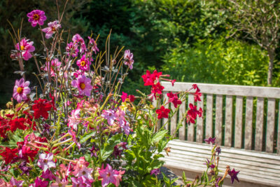 Explore and learn with us this August – Blog