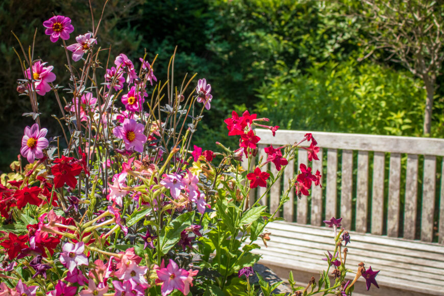 Explore and learn with us this August – Blog