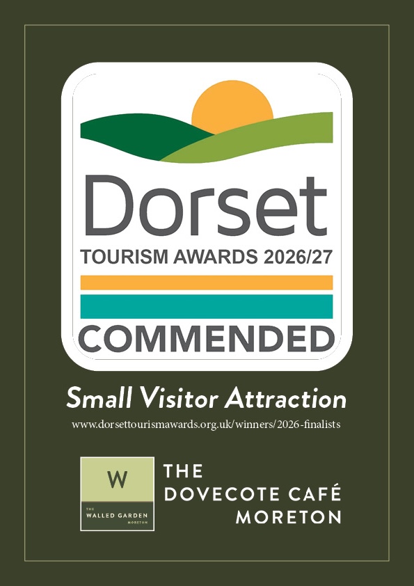 dorset tourism 2026 2027